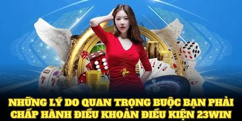 Điều Khoản Điều Kiện 23WIN Mới Mà Hội Viên Cần Ghi Nhớ 5 Những lý do quan trọng buộc bạn phải chấp hành điều khoản điều kiện 23WIN